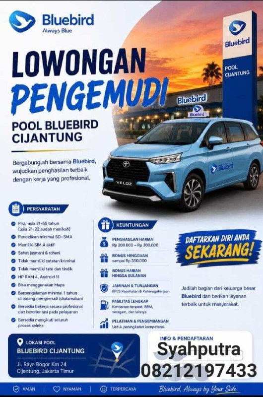Bluebird